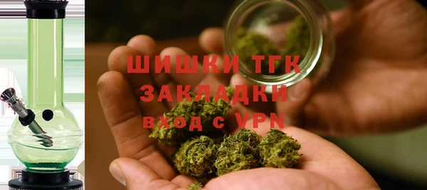 дживик Краснослободск