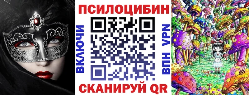 Купить закладки  Дрезна  Псилоцибиновые грибы Cubensis 